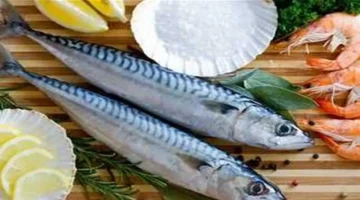 تحديثات الأسعار.. قائمة أسعار السمك في الأسواق المصرية خلال تعاملات يوم الإثنين